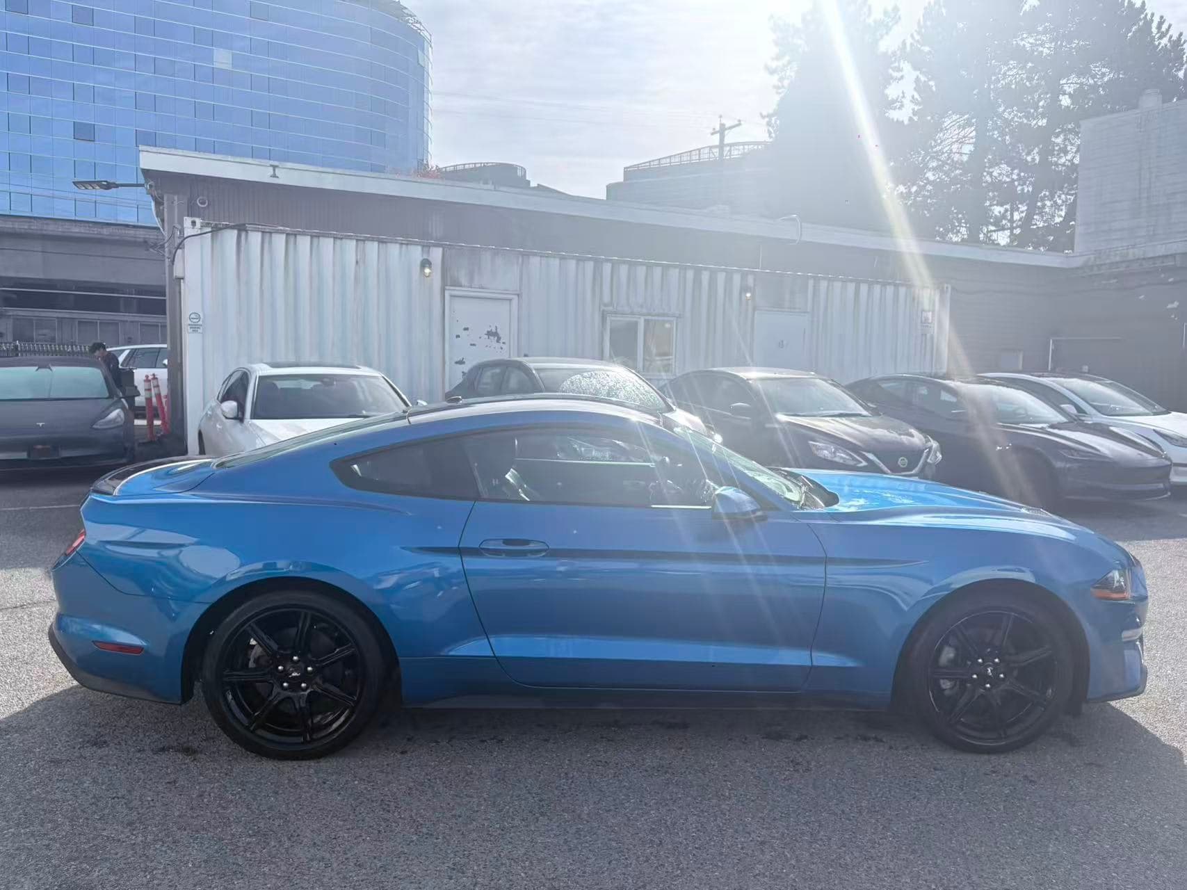 2019 Ford Mustang EcoBoost Fastback NO ACCIDENTS/BC LOCAL/ONE OWNER thumbnail 7