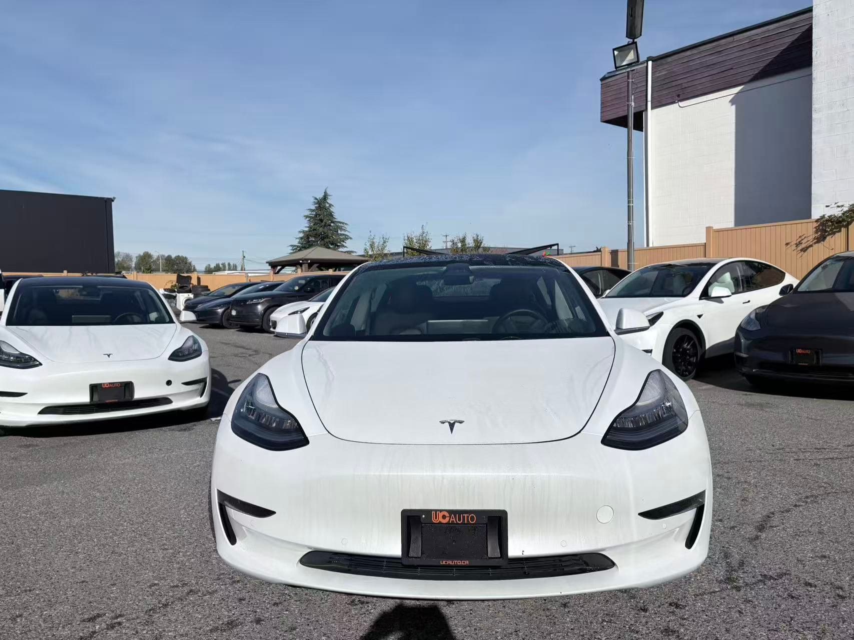 2019 Tesla Model 3 Standard Range RWD *Ltd Avail* NO ACCIDENTS/BC Local thumbnail 9