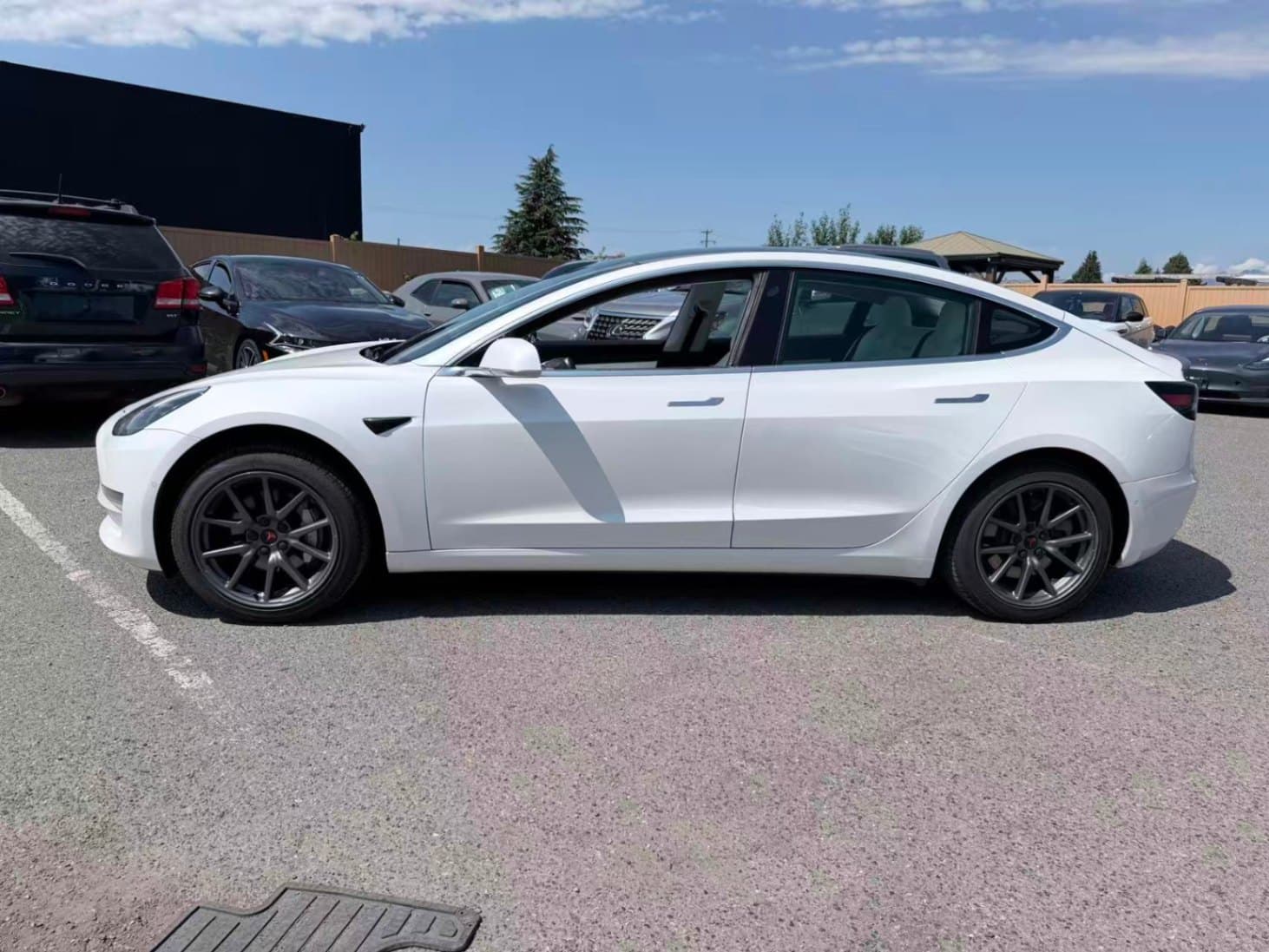 2019 Tesla Model 3 Standard Range RWD/ CLEAN TITLE/ WHITE INTERIOR/ YOKE STEERING WHEELS thumbnail 8
