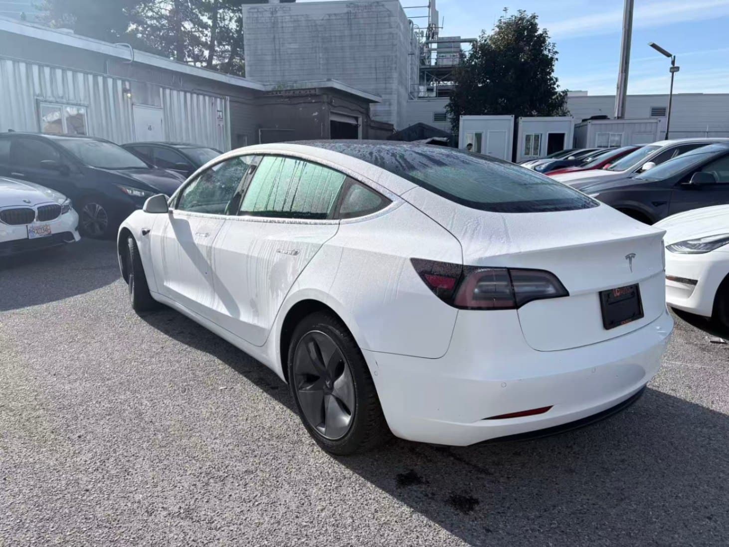 2019 Tesla Model 3 Standard Range RWD *Ltd Avail* NO ACCIDENTS/BC Local thumbnail 4