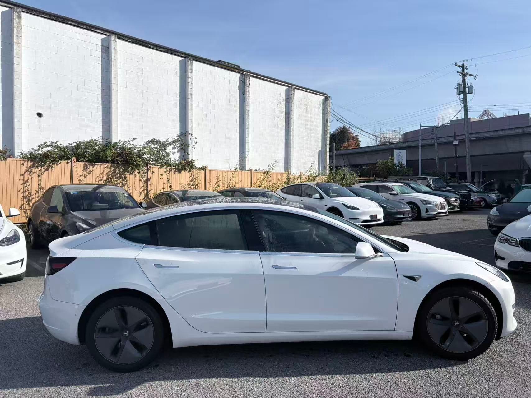 2019 Tesla Model 3 Standard Range RWD *Ltd Avail* NO ACCIDENTS/BC Local thumbnail 7