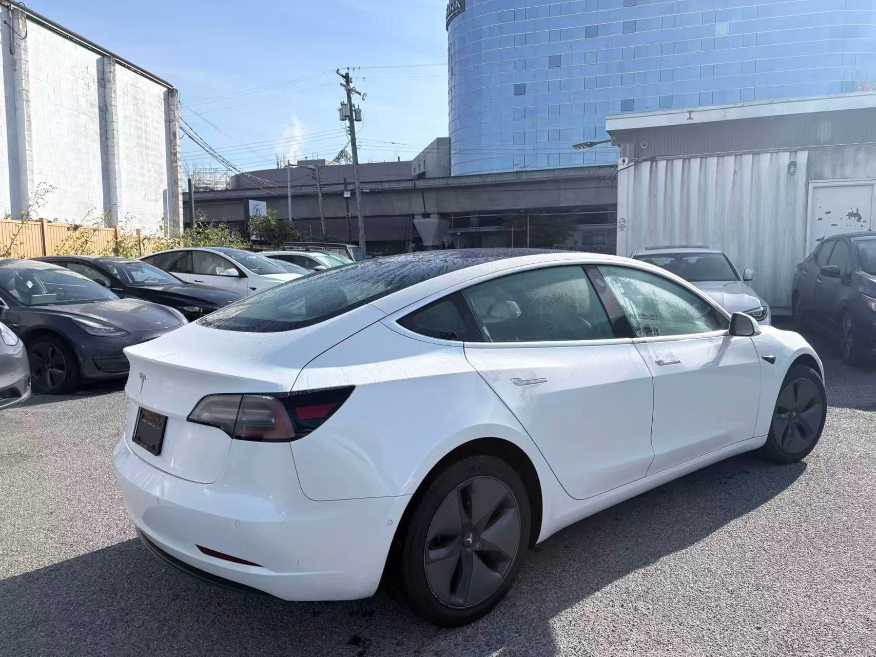 2019 Tesla Model 3 Standard Range RWD *Ltd Avail* NO ACCIDENTS/BC Local thumbnail 6