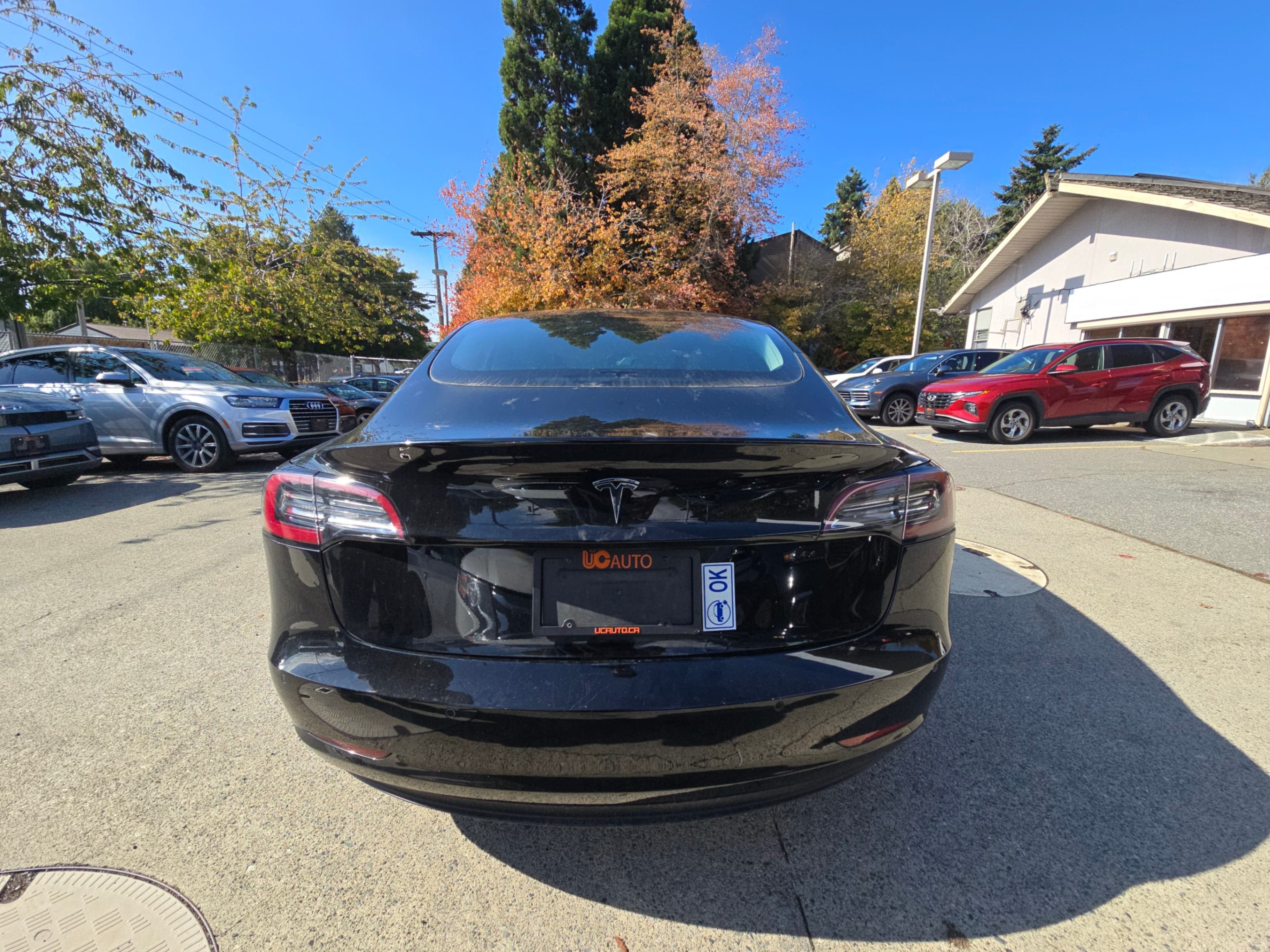 2019 Tesla Model 3 Standard Range RWD *Ltd Avail* thumbnail 5
