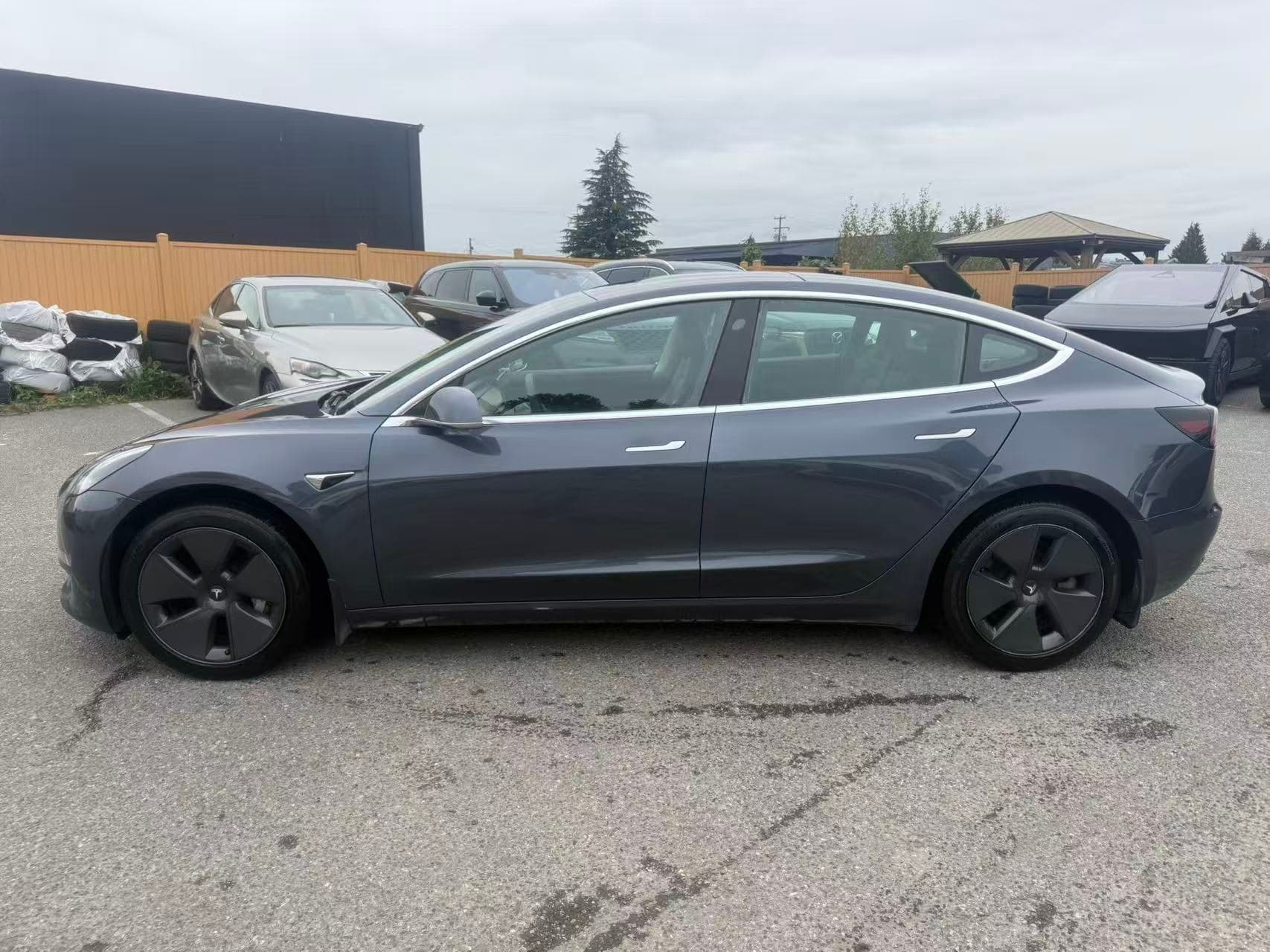 2020 Tesla Model 3 Standard Range Plus RWD NO ACCIDENTS/BC LOCAL CAR thumbnail 3