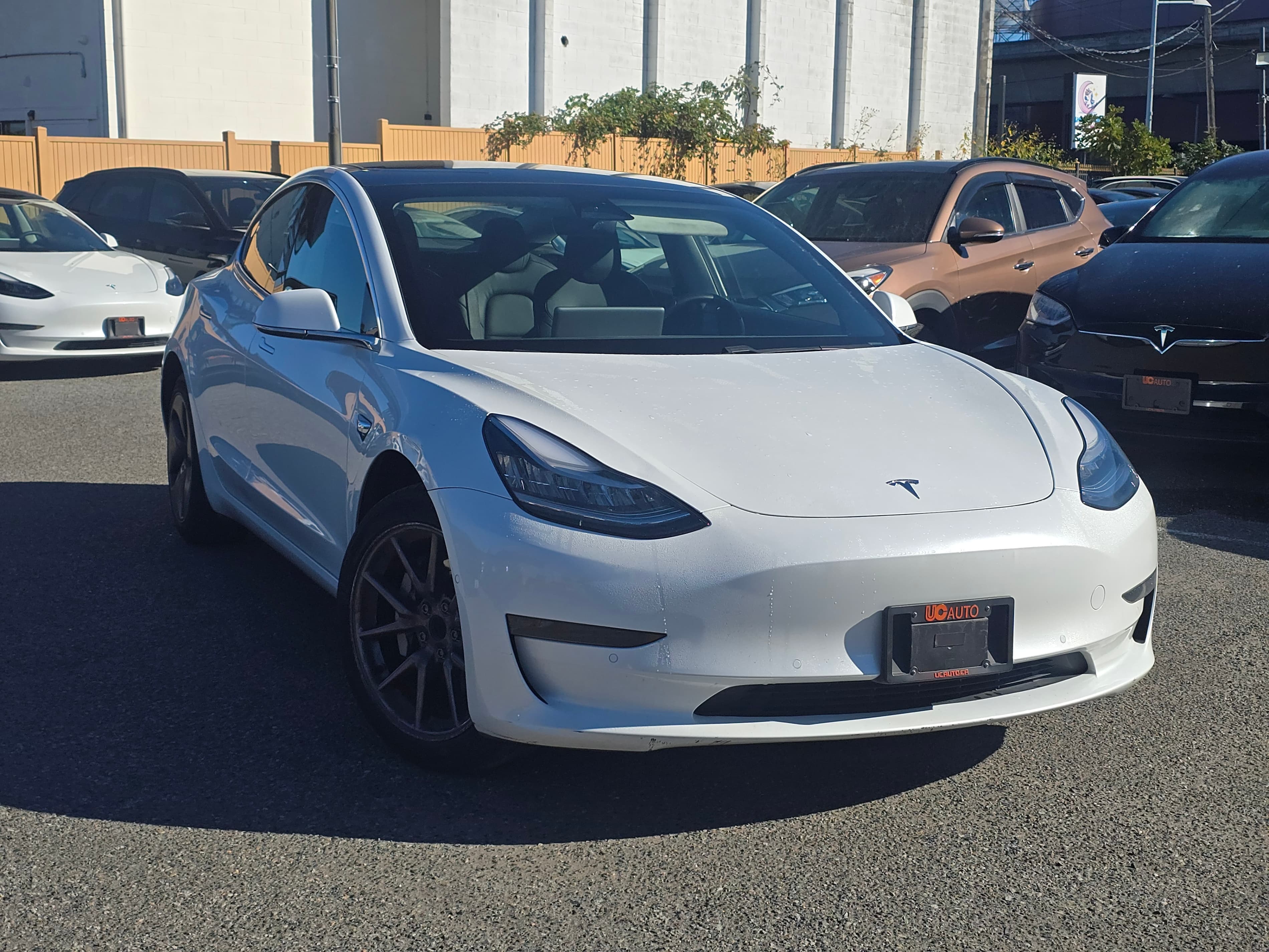 2020 Tesla Model 3 Standard Range Plus RWD NO ACCIDENTS/BC LOCAL thumbnail 8
