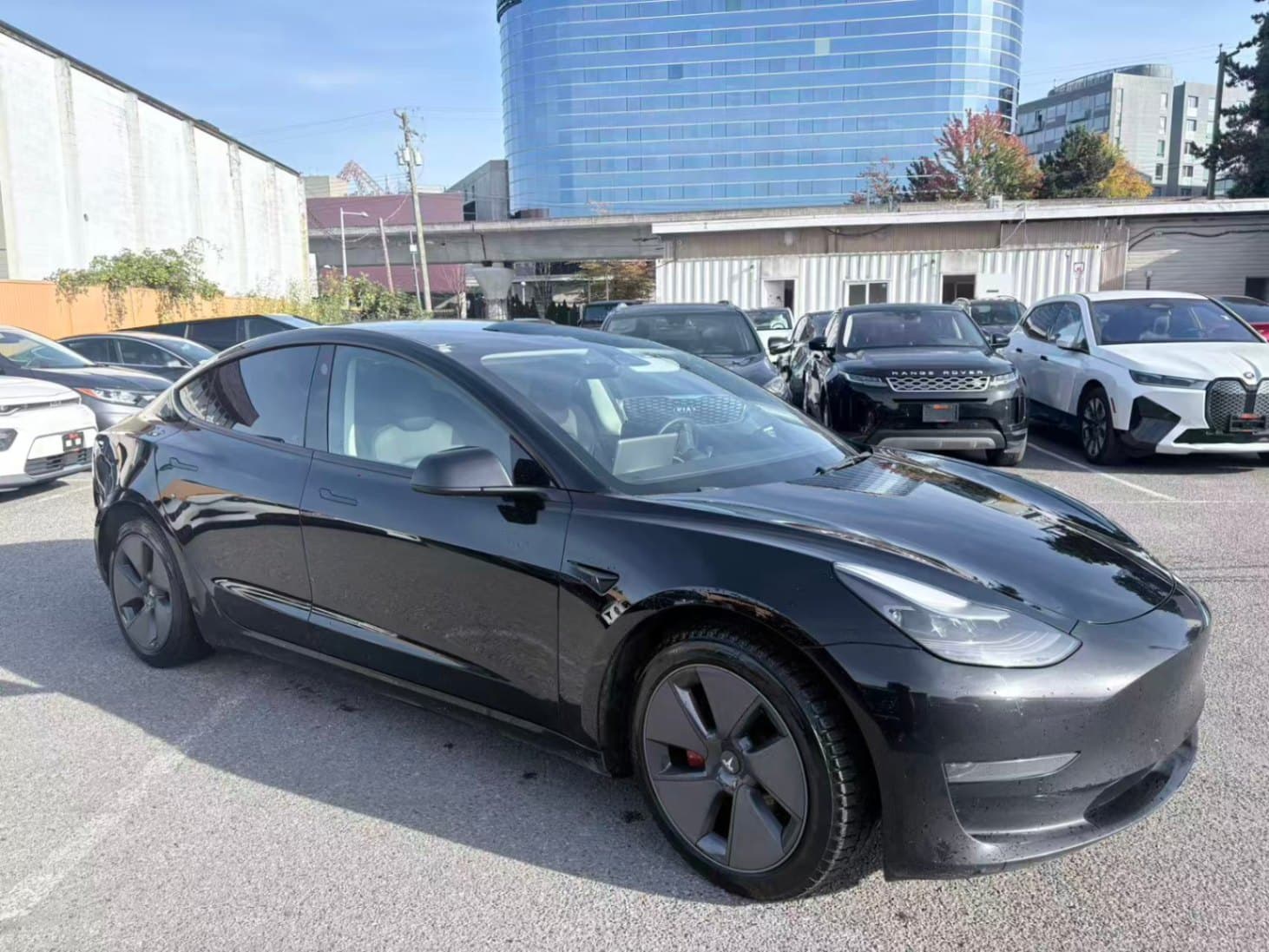 2022 Tesla Model 3 RWD thumbnail 8
