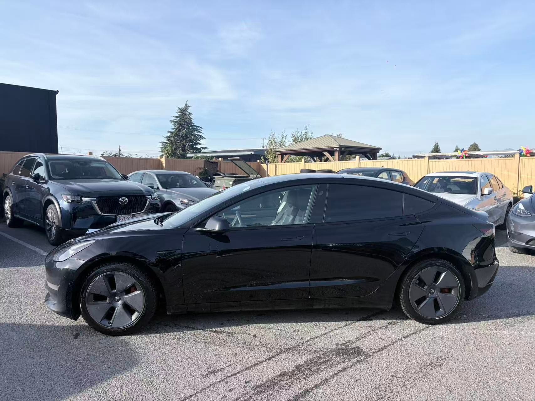 2022 Tesla Model 3 RWD thumbnail 3