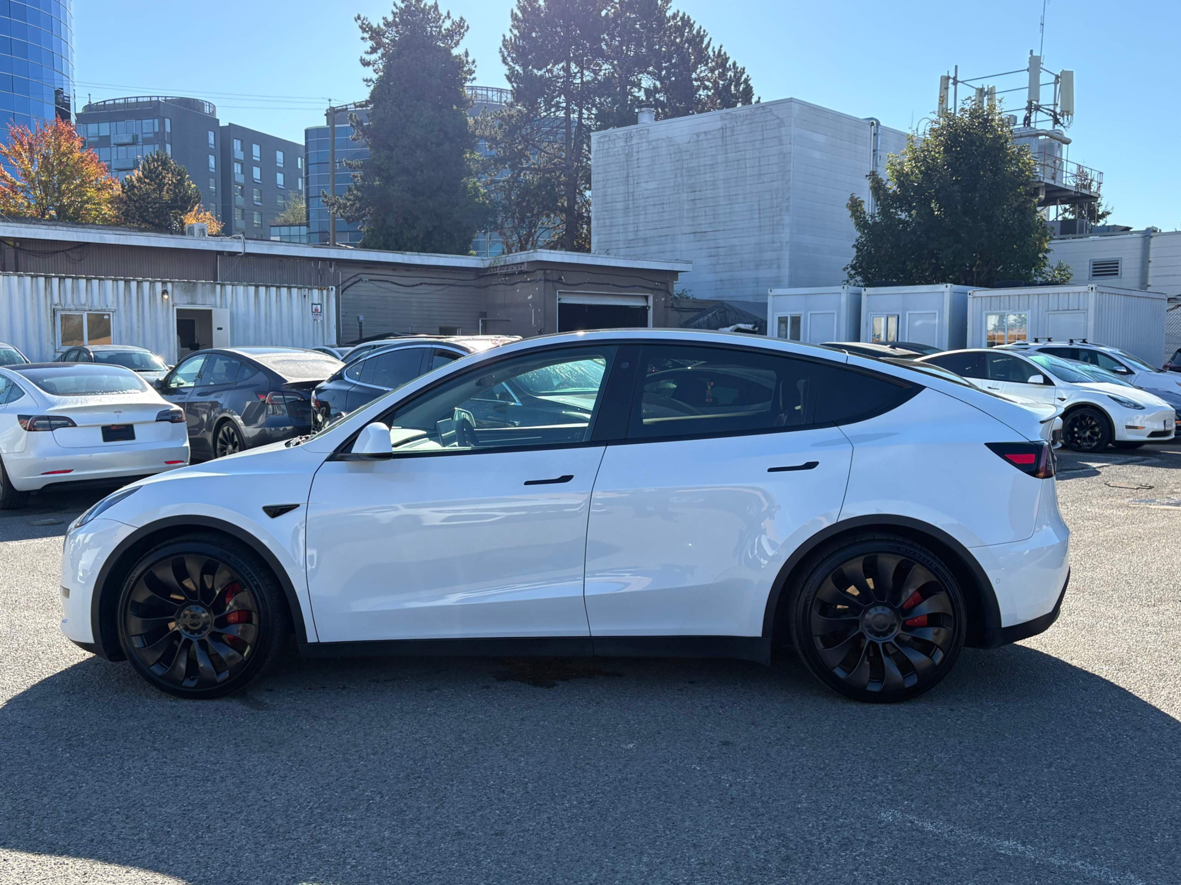 2022 Tesla Model Y Performance AWD thumbnail 3