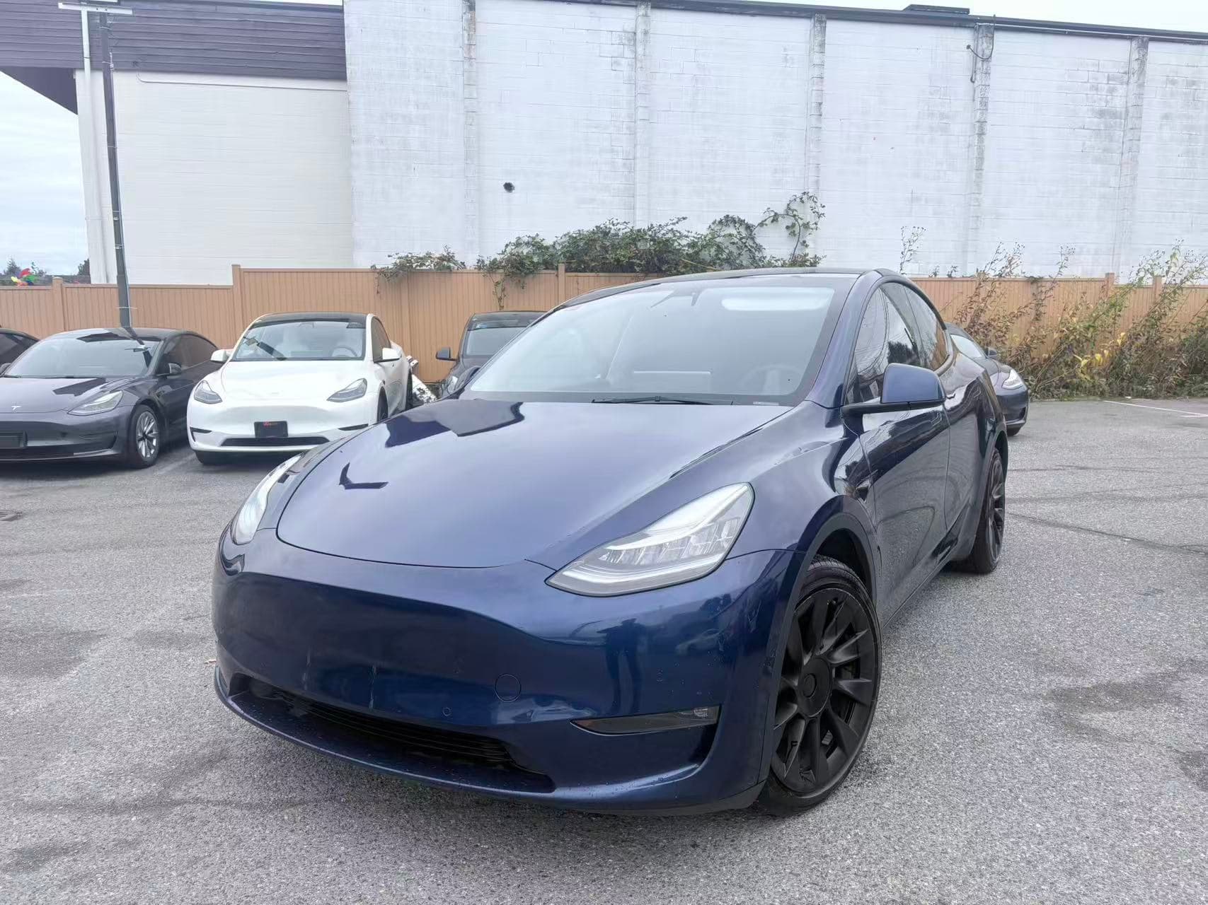 2022 Tesla Model Y Long Range AWD NO ACCIDENTS thumbnail 2