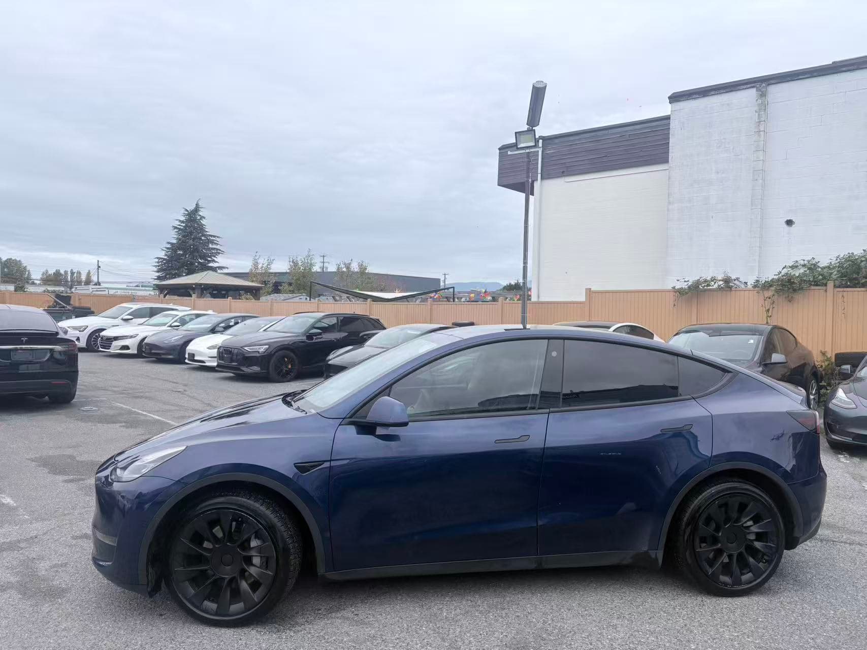 2022 Tesla Model Y Long Range AWD NO ACCIDENTS thumbnail 3
