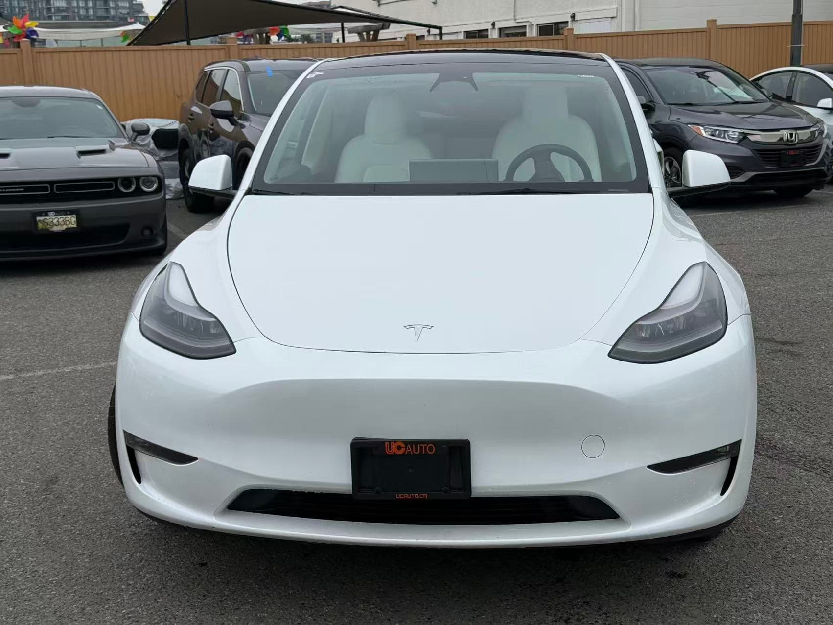 2023 Tesla Model Y Long Range AWD thumbnail 9
