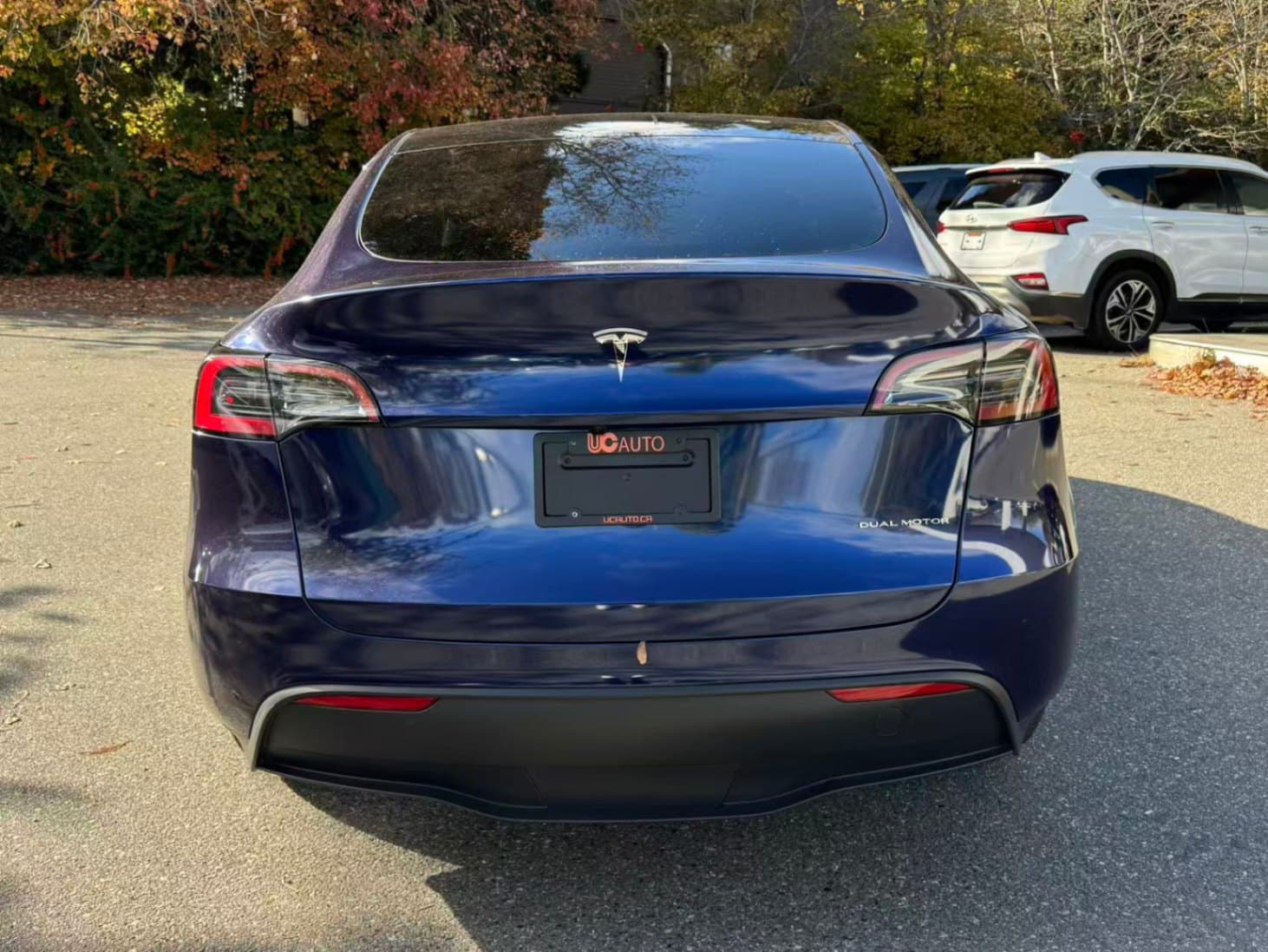2025 Tesla Model Y Long Range AWD *Ltd Avail*HW4.0 No Accident, BC Local thumbnail 5