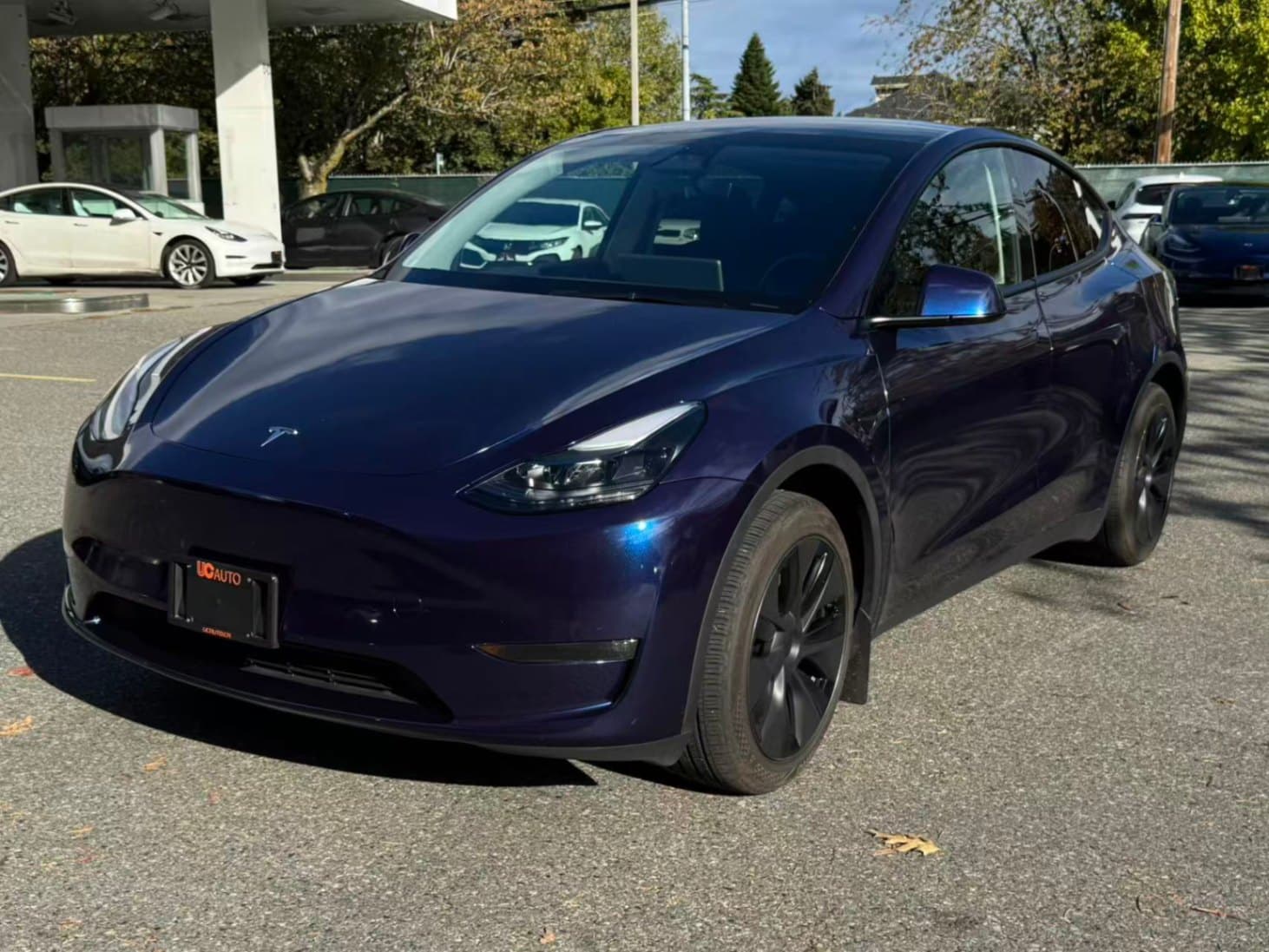 2025 Tesla Model Y Long Range AWD *Ltd Avail*HW4.0 No Accident, BC Local thumbnail 2